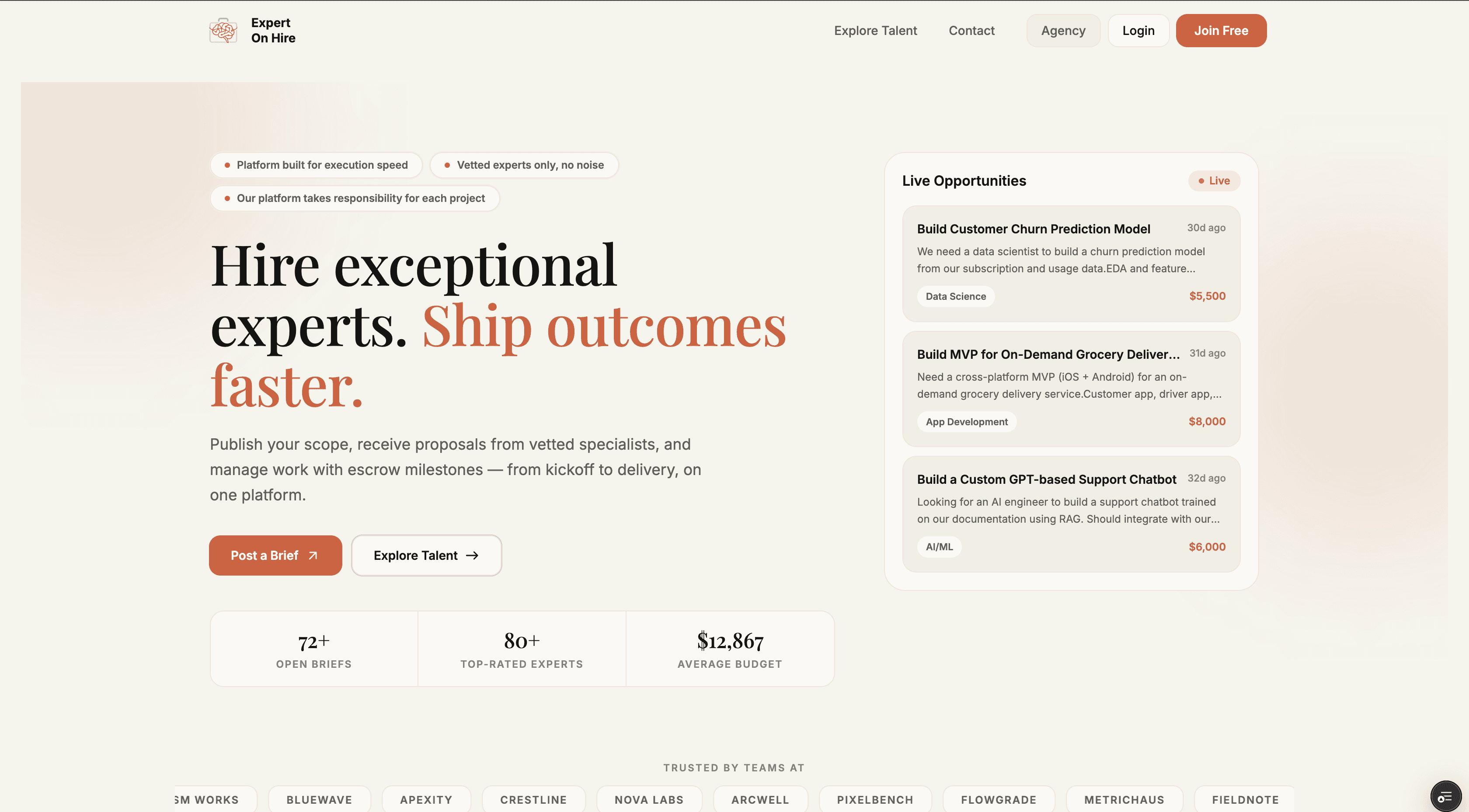 ExpertOnHire